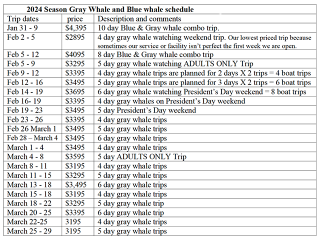 Fly in Gray Whale Watching at Laguna Ojo de Liebre, Mexico - Dates & Prices