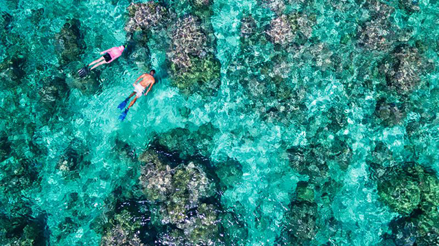 Snorkelling - Alphonse Island - Seychelles Dive Resort