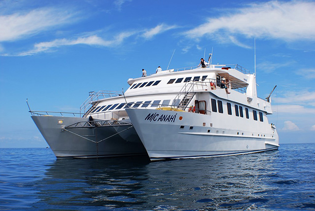 M/C Anahi - Galapagos Liveaboards - Dive Discovery Galapagos