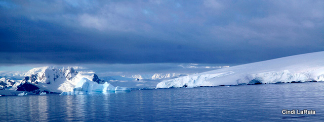 Antarctic Peninsula Basecamp, On board the M/V Plancius, March 3-14 2015 Trip Report - Page Four