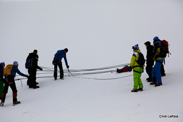 Antarctic Peninsula Basecamp, On board the M/V Plancius, March 3-14 2015 Trip Report - Page Five