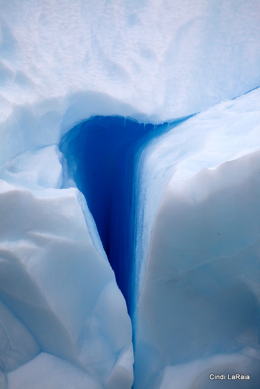 Antarctic Peninsula Basecamp, On board the M/V Plancius, March 3-14 2015 Trip Report - Page Six