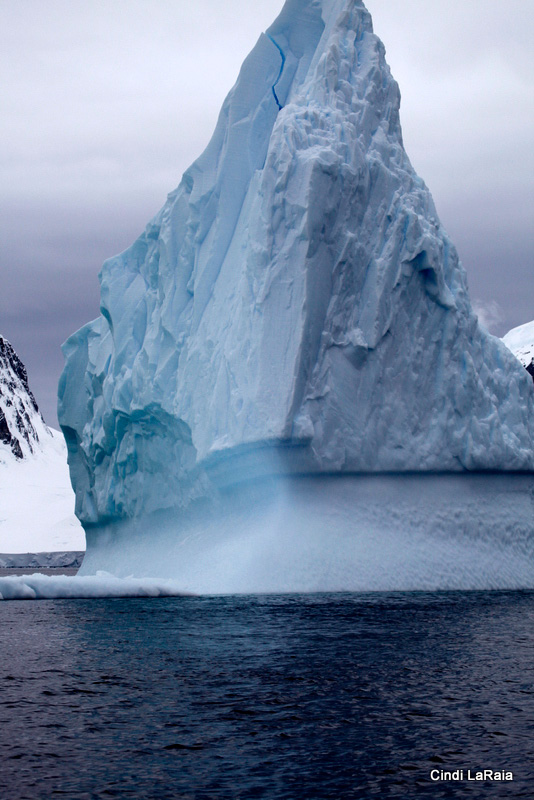 Antarctic Peninsula Basecamp, On board the M/V Plancius, March 3-14 2015 Trip Report - Page Six