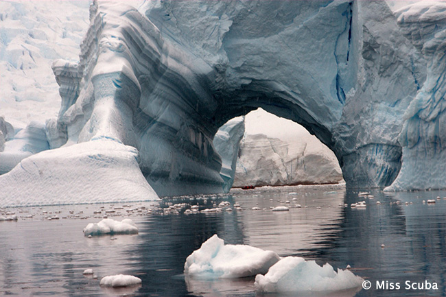 Zodiac ride - Antarctic Peninsula Basecamp - Dive Discovery