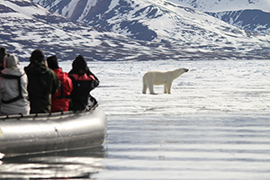 North Spitsbergen, In Search of Polar Bear & Pack Ice - Dive Discovery