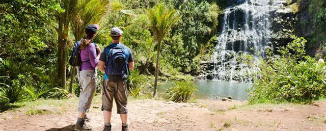 Auckland West Coast Wilderness