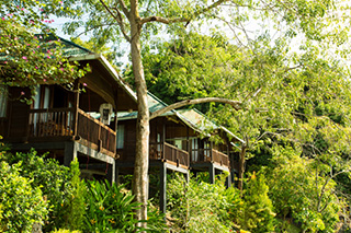 Bungalows - Bastianos Lembeh Resort - Indonesia Dive Resort