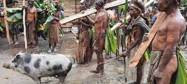 Pig KILLING Ceremony