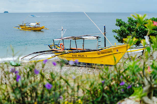 Dive boats - Buceo Anilao Beach & Dive Resort