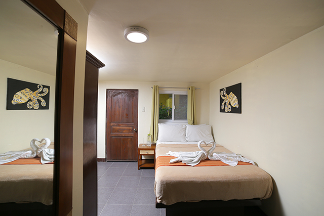 Standard Room - Buceo Anilao Beach & Dive Resort