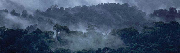 Trekking and Nature Watching at COIBA National Park