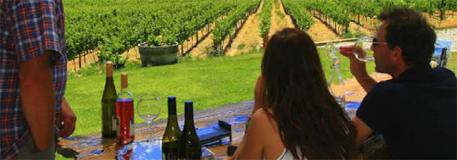 Central Otago Wine Tour