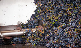 Chianti winery