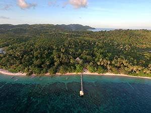 Coral Eye - Indonesia Dive Resort