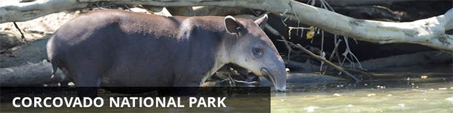 Corcovado National Park