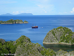 Damai 1 liveaboard photo by Pat Williams