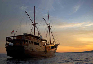 Dive Damai I - Indonesia Liveaboards - Dive Discovery Indonesia