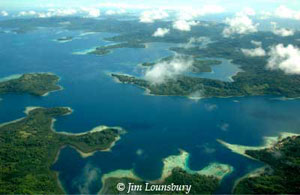 Diving Solomon Islands