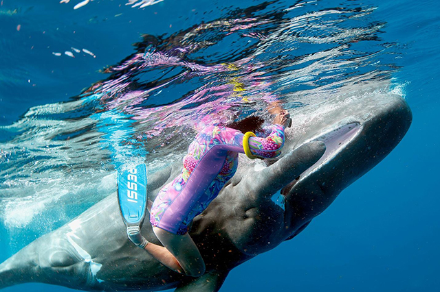 Cindi with a sperm whale
