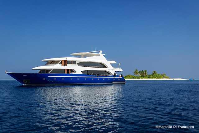 M/Y Duke of York - Maldives Liveaboards - Dive Discovery Maldives