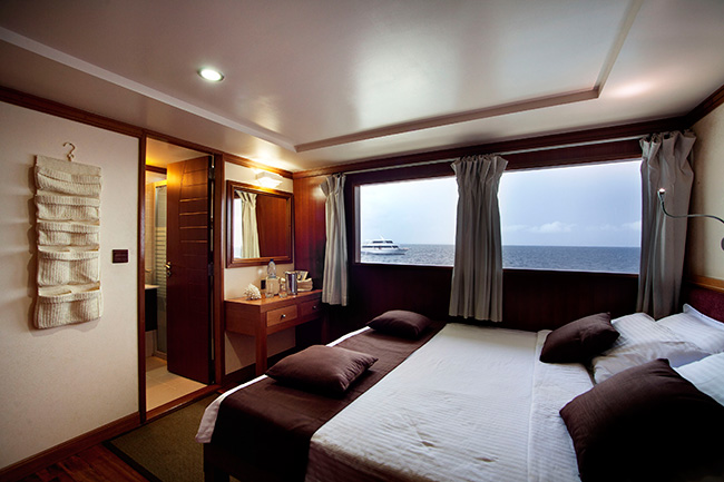 Cabin - M/Y Duke of York - Maldives Liveaboards