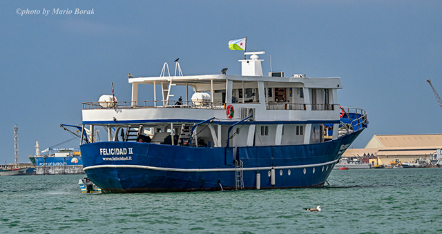 M/Y Felicidad II - Djibouti Live Aboards - Dive Discovery Djibouti