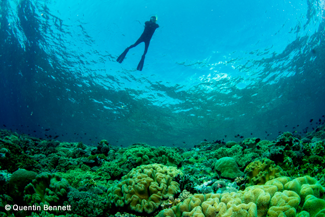 The Forgotten Islands of Indonesia aboard Damai 1; Nov 19 - Dec 3 2014 Trip Report