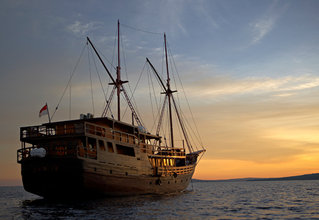 Halmahera, Indonesia diving on board Damai 1, April 22-May 3 2028 Group Trip