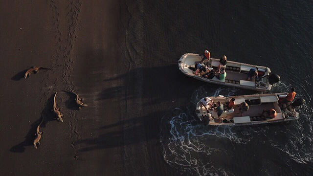 Visit Komodo dragons in the tender boats - MSY Ilike - Indonesia Liveaboards