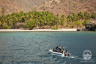 Dinghy boat - Indo Aggressor - Indonesia Liveaboards