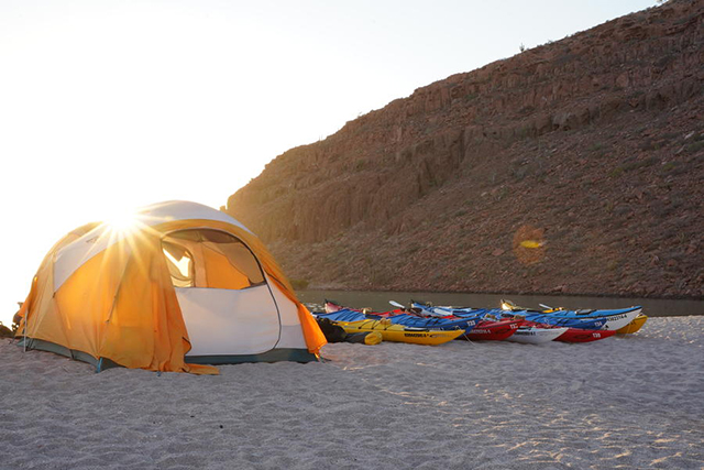 Isla Espiritu Santo Camping and Kayaking