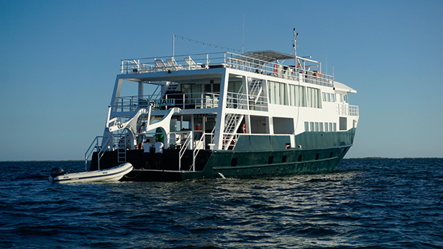 Jardines Avalon III - Cuba Liveaboards - Dive Discovery Cuba