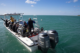 Dive boat - Jardines Avalon II - Cuba Liveaboard