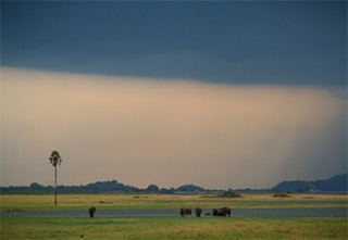 Kaudulla National Park in Sri Lanka