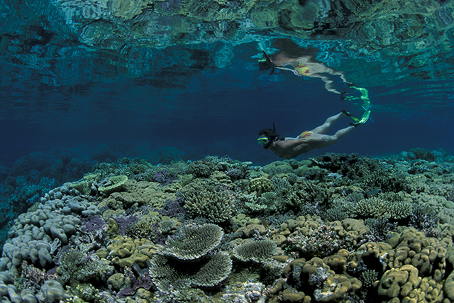 Reef at Kimbe Bay