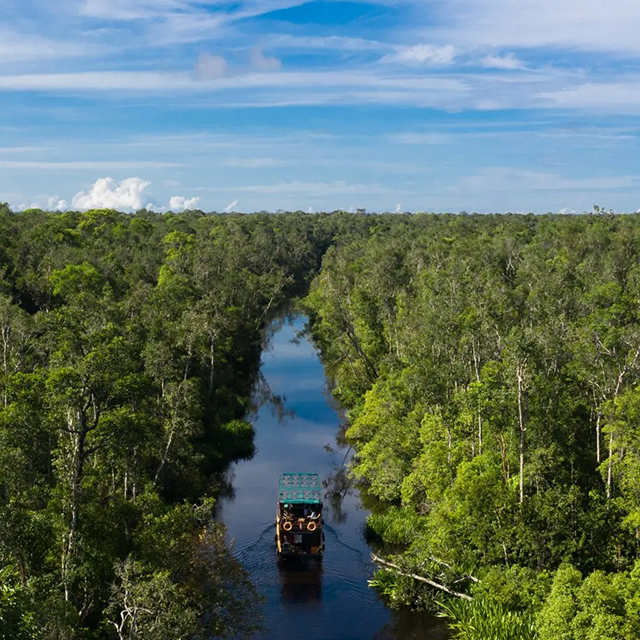 3 Days / 2 Nights Orangutan Tour in Tanjung Puting National Park - Indonesia Tour