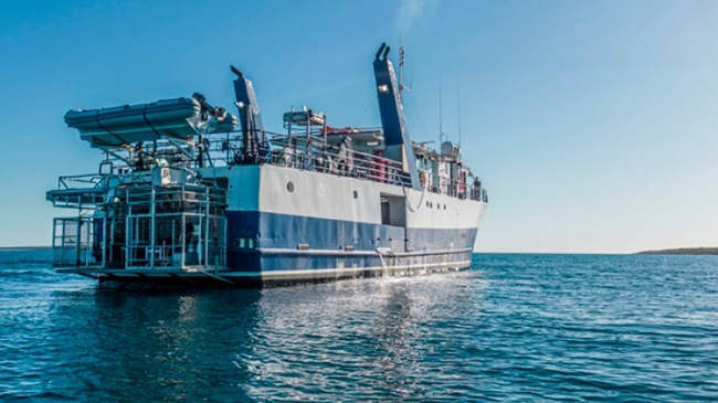 Dive Deck - MV Rodney Fox liveaboard - Great White Shark Cage Diving, South Australia