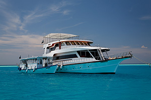 MY Sheena - Maldives Liveaboards - Dive Discovery Maldives