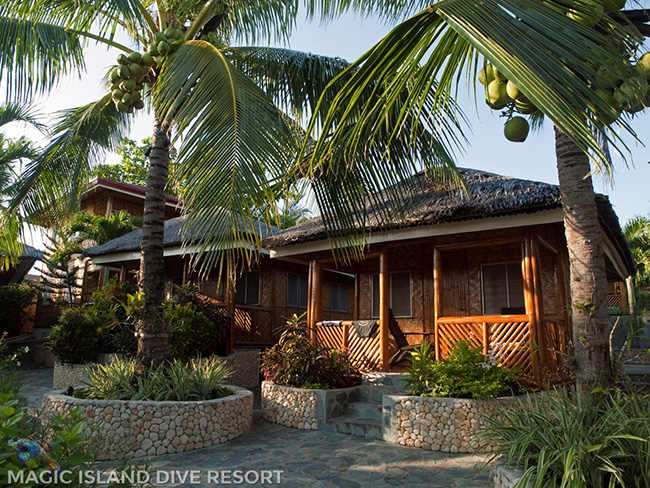 Cottage - Magic Island Dive Resort - Philippines Dive Resorts