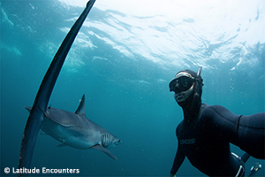 Mako and Blue Shark Expedition - Sea of Cortez, Mexico