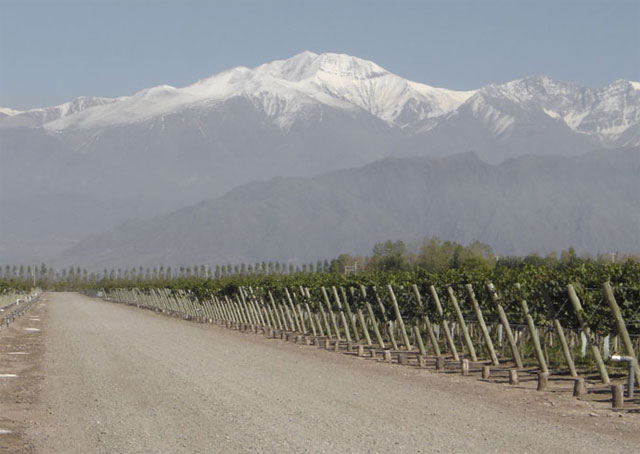 Mendoza - Argentina - Dive Discovery