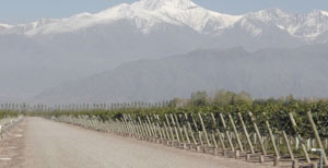 Mendoza - Argentina - Dive Discovery