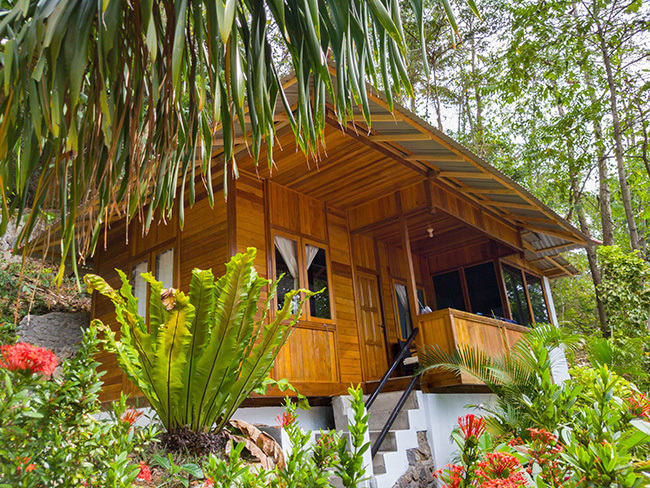 Seaview Bungalow - NAD-Lembeh Resort