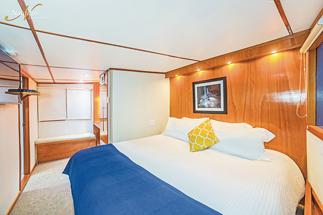 Premium Suite - Nautilus UnderSea - Socorro Liveaboard