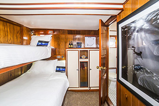 Stateroom - Nautilus Under Sea - Cocos Island Liveaboards