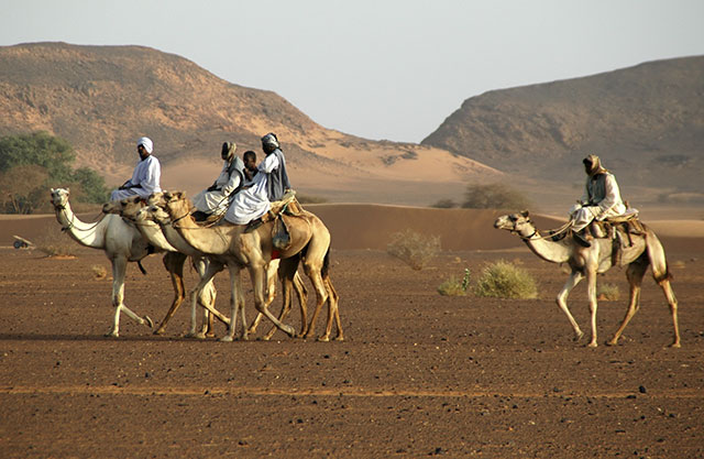 Nubian Desert