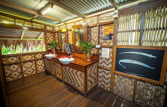 Shared bathroom - Standard Beachfront - Nusa Island Retreat - PNG Dive Resort