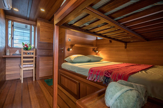 Cabin - Oceanic - Indonesia Liveaboards