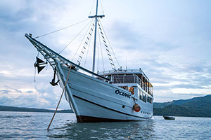 MY Oceanic - Indonesia Liveaboards - Dive Discovery Indonesia