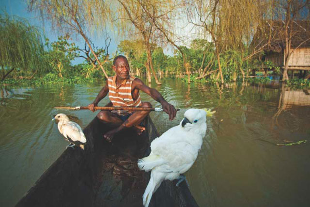 Bird Watching, PNG Adventures, Papua New Guinea